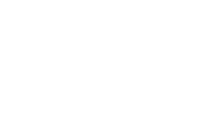 institut of solid